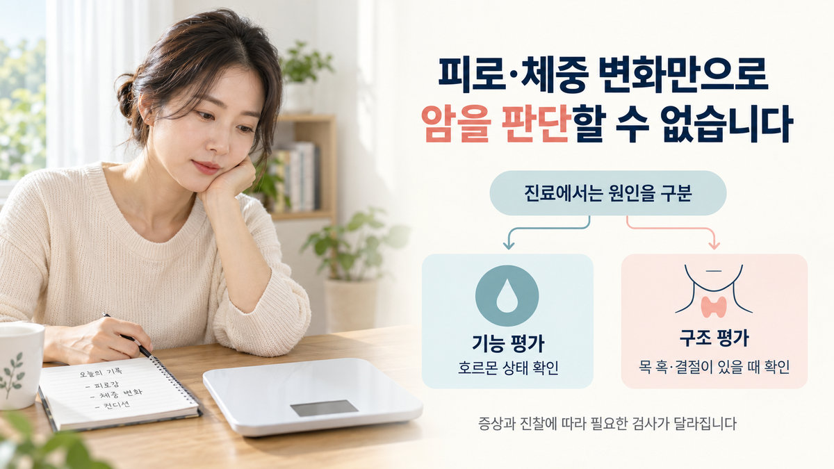 피로와 체중 변화에서 갑상선 기능 이상과 결절 암 평가를 구분한 그림