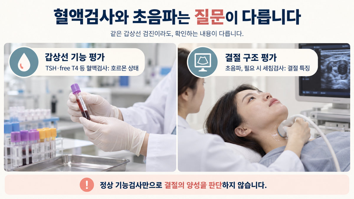 갑상선 기능 혈액검사와 결절 초음파 세포검사의 목적을 비교한 그림