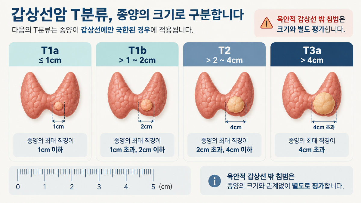 갑상선암 1cm 2cm 4cm T1a T1b T2 T3a T분류