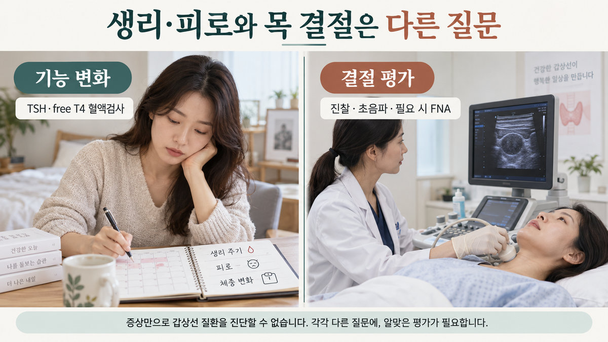 생리불순 피로 체중 변화와 갑상선 기능검사 및 결절 평가 차이