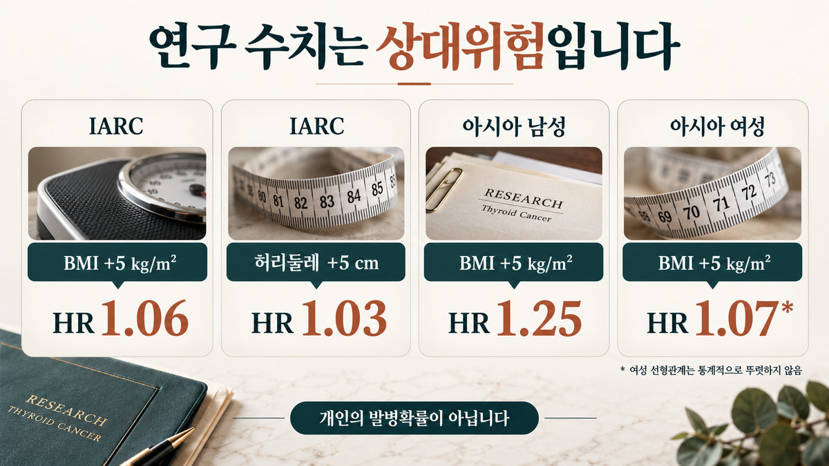 BMI 허리둘레와 갑상선암 위험 증가 연구 수치 비교