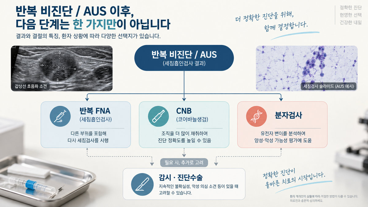 갑상선 세침검사 비진단 AUS 코어바늘생검 CNB 분자검사 다음 단계