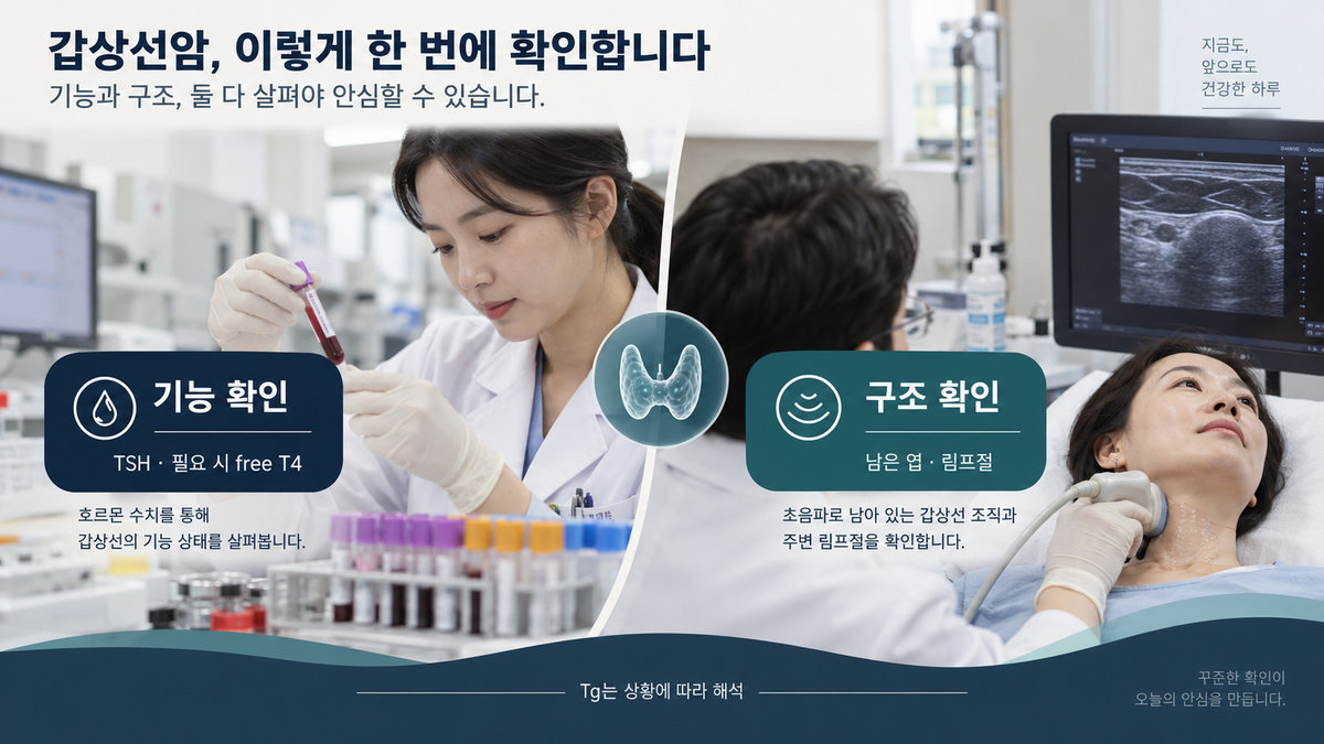갑상선 반절제 후 혈액 TSH 검사와 남은 갑상선 초음파 추적 차이