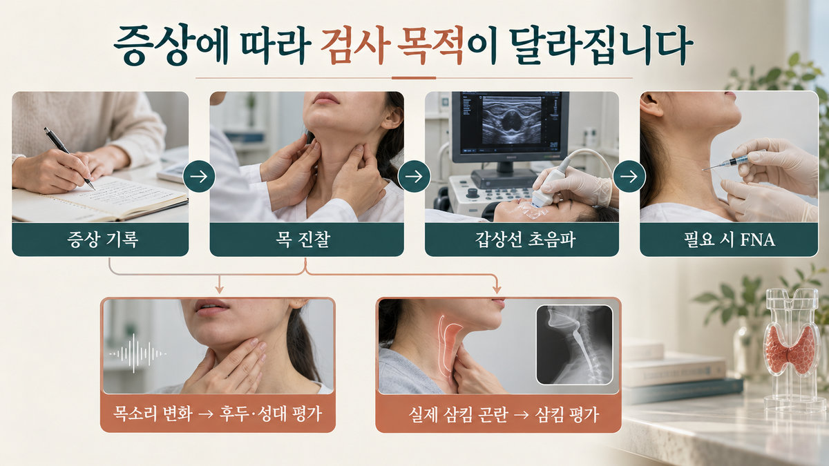 갑상선암 증상 진료에서 목 진찰 초음파 세침흡인검사 후두 삼킴 평가 흐름도