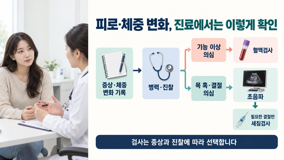 피로 체중 변화 진료에서 증상 기록과 갑상선 기능 구조 검사를 구분한 흐름도